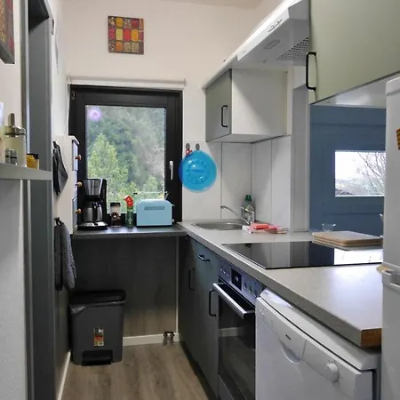 Hébergement de vacances Free Willi Mit Wintergarten Und Grosser Eingezaeunter Terrasse Willingen (Upland)
