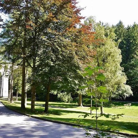 Free Willi Mit Wintergarten Und Grosser Eingezaeunter Terrasse * Willingen (Upland)