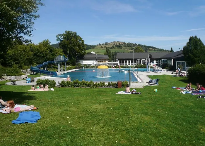 Free Willi * Виллинген