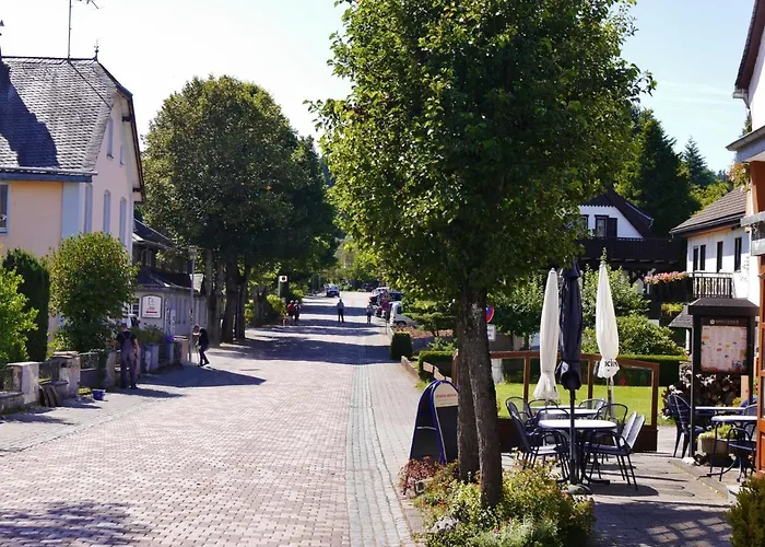 Free Willi Дом отдыха Виллинген