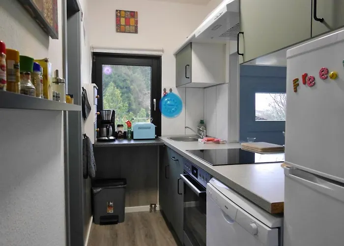 Дом отдыха Free Willi Виллинген