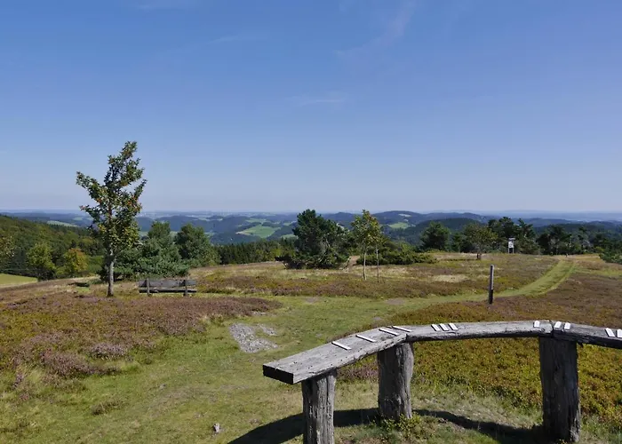 Free Willi * Виллинген