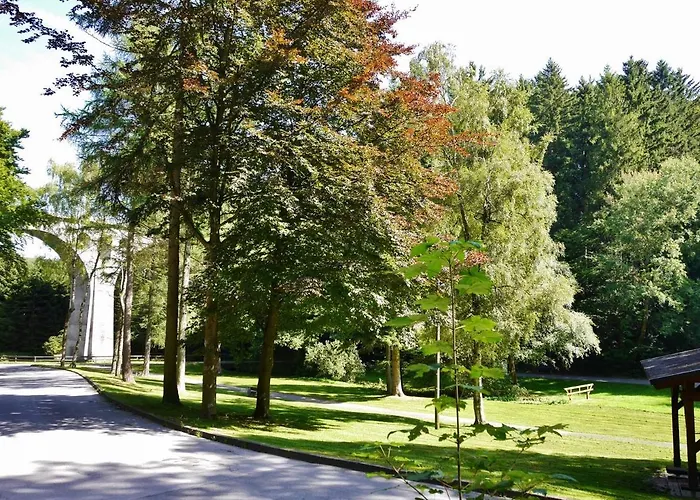 Free Willi * Виллинген